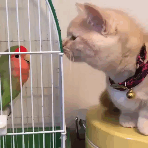 8c075019ef5eb50b60fa6d9239670b61