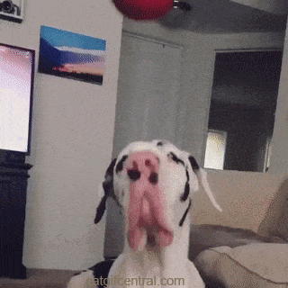 d4bb1844d0b1e401e4f67445103b8796