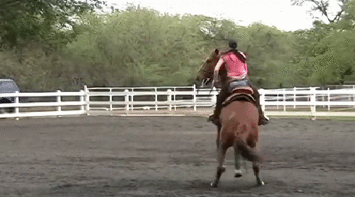 1 (12)