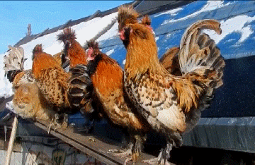 129881255_b09d93608916