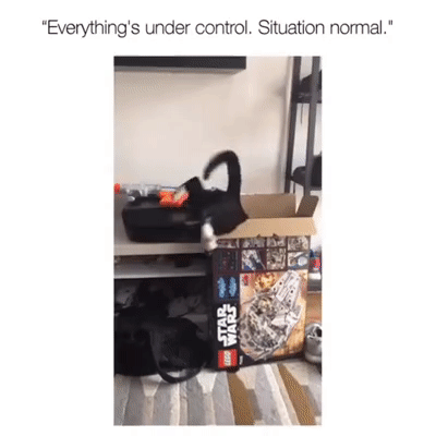 Всё нормально