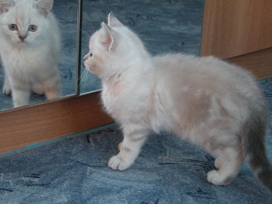 DSCN1804_новый размер