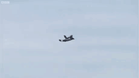 502118a5679660d-a-nw-p