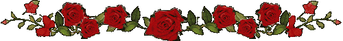 586