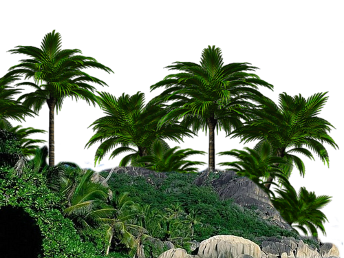 069570dae0980e9592b0c005d1b1ed3e