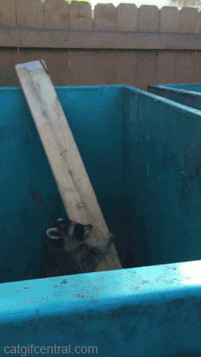 7dca818625ea91940f461d250aefd475