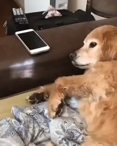 Уроки иди делай