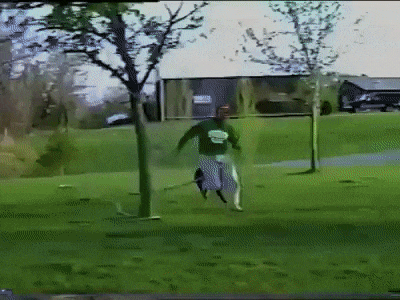 — друг человека