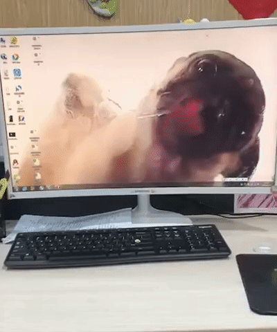 Всегда чисто