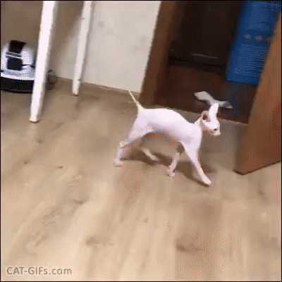 Сам себя испугался