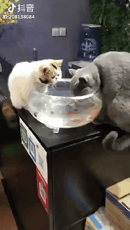 d1e5a1631bd65c906dc59ca9df1f72e1