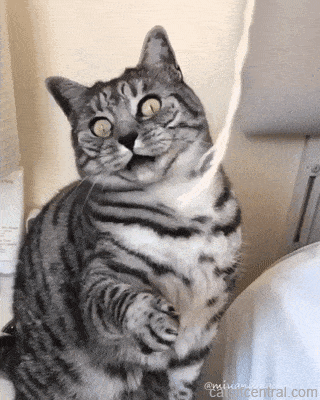 2d2f141ba7cc71981c5444e7c5bc3c06