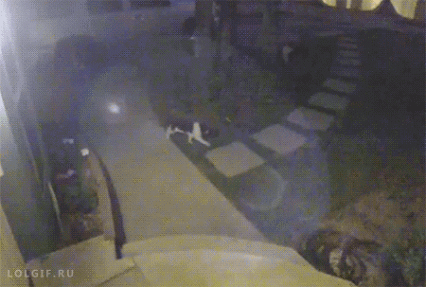 b25e8ae6360d7d9acea5f0b3199030d5