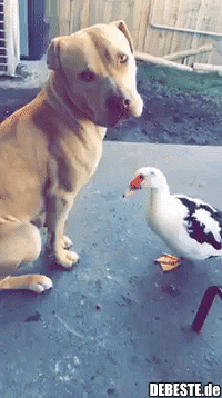 d2154e8471e5bdd52b6a1df1c82673b7