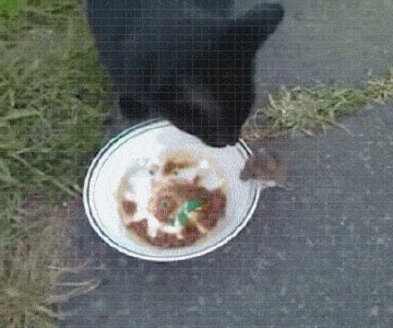 731cef71f3b1c580b9ec72666d8b6ff6