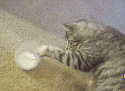 879fc2146afed96a868bb045d2157cd7