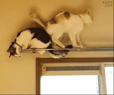 a4c36964d7d0ec7b0d723ef088ad66a8