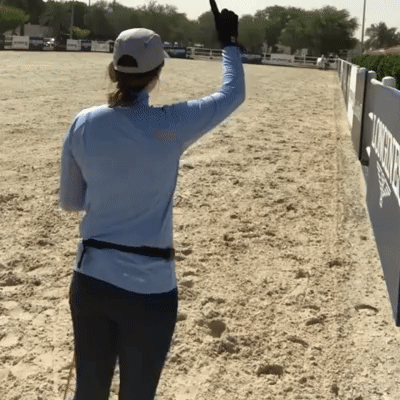 Сивка-бурка