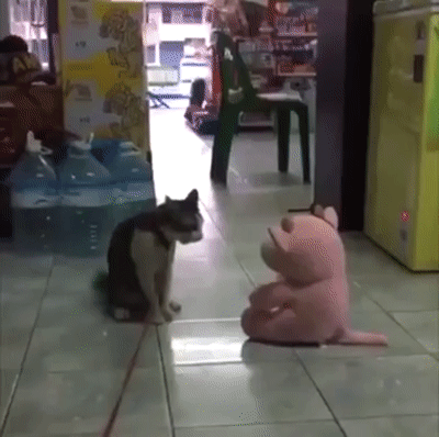 Абсолютная победа