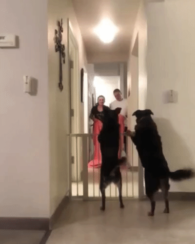 Семейный фокус