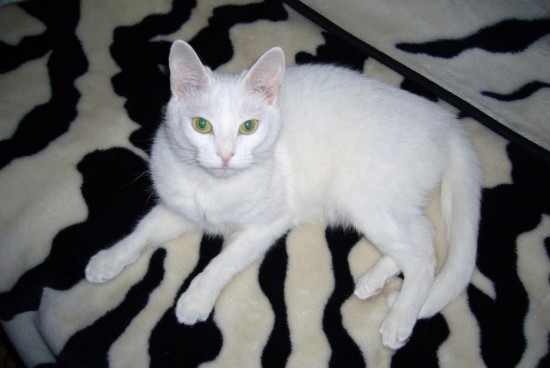 отъезд 145мал