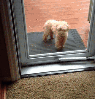 Заходи давай