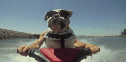 Только вперёд