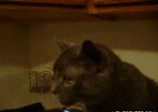 e29fa582ba641342fd36a1fddcb2a6ce (1)