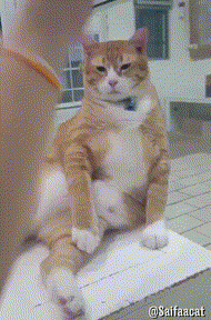 4c8855f59a8b8cfd603eba9dcbe673bd