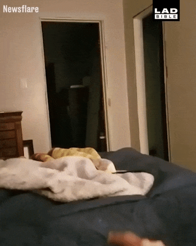 Поберегись!