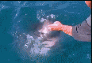 e505e378c5eecc2a3e19b283027670a3