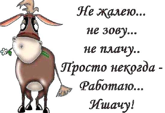 189386416_836f2cca54e9ea7ccebe7884186ed7b8_800