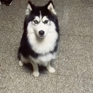 Да ловлю я ловлю...