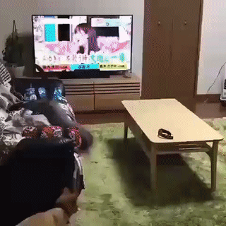 теле-паркур