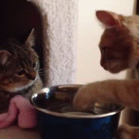 Не дергайся!