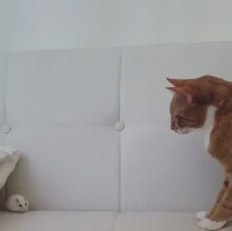 tmp_cleverpub_219b59a2fcf55958c94e16a6497d0240