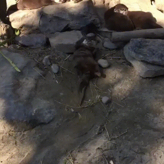 tmp_cleverpub_9606609b4cb2abd6ba961e9af9d201b0