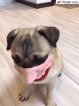 9e58094563125b0a059b422ec25c6b71