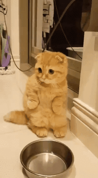 9e85157bfa9eb1833584aed4b5cff24f (1) (1)