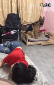 daily_gifdump_2862_25