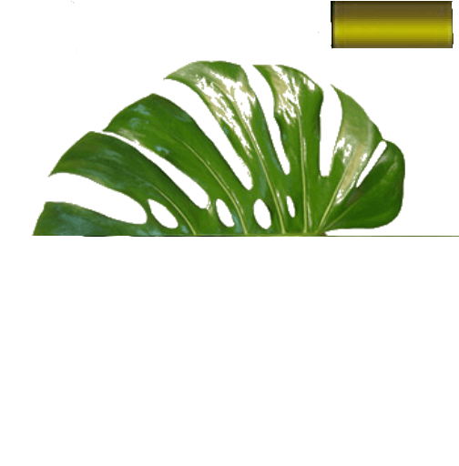e16b1e63c1f7078aecd033ec7f38cd7b