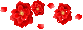 koreckOlga1