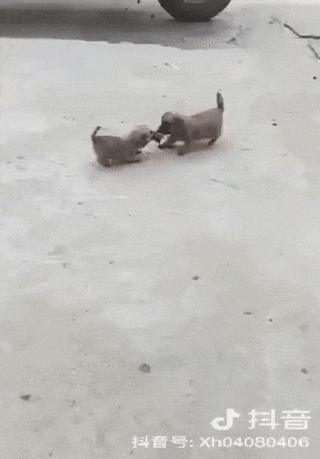 Мал, да удал