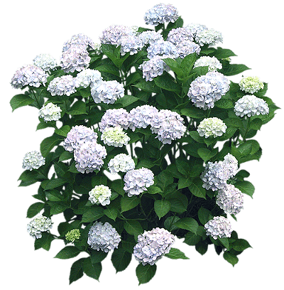 54de814b694f6015e93615a1f749b0d1 (1)1