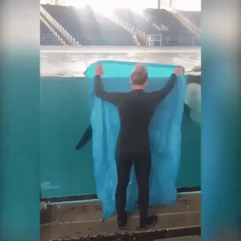 -Косатки-фокус-Волшебная-тряпка-4616815