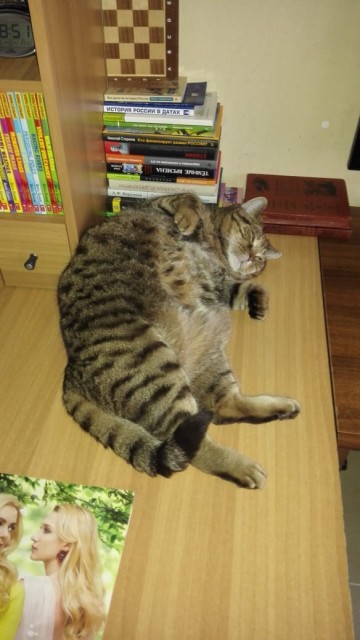 WhatsApp Image 2018-06-25 at 18.53.35