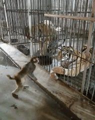 2cac1eedcdbde5200e762122df77f8e1