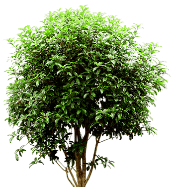 0_2b7412_e8d2b5a9_orig_11_yapfiles111