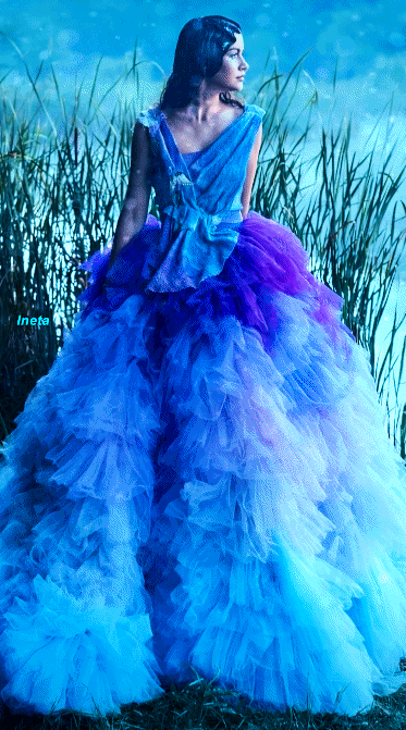 153357780119388848 (1)