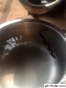 -тазик-вода-струя-4641784